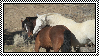 Horses hugging